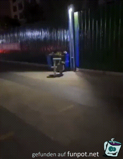 Die Katze hat Spaß